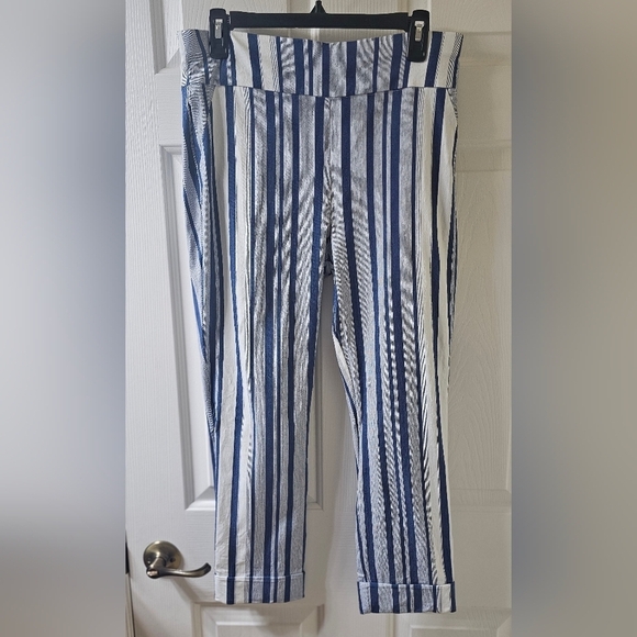 New York & Company Pull On Ankle Pant Striped Blue and White Large - Picture 1 of 1